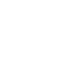 ssd-top-badge-icon